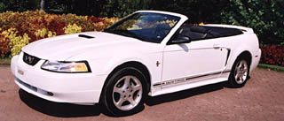 Montreal Convertible Mustang