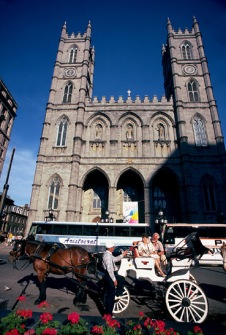 Calche devant la basilique Notre-Dame